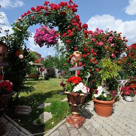 Pensiunea Sofia Timişoara Buitenkant foto