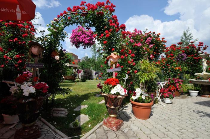 Pensiunea Sofia Timişoara Buitenkant foto