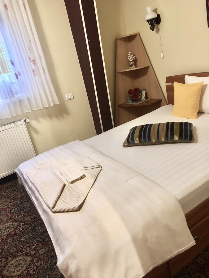 Pensiunea Sofia Timişoara Buitenkant foto