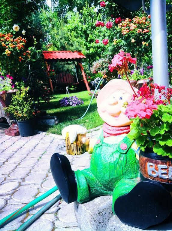 Pensiunea Sofia Timişoara Buitenkant foto